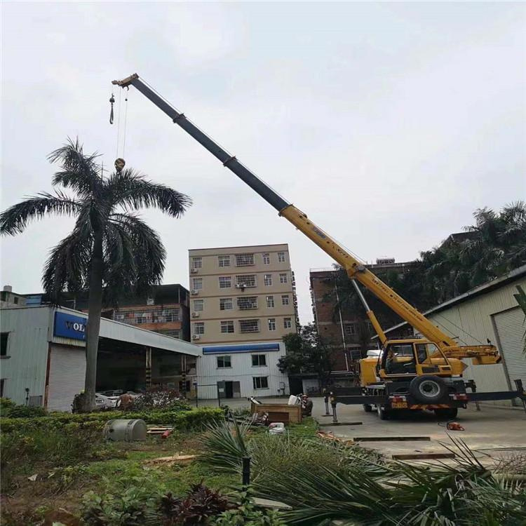 三角镇汽车吊出租多少钱？全面解析与市场行情